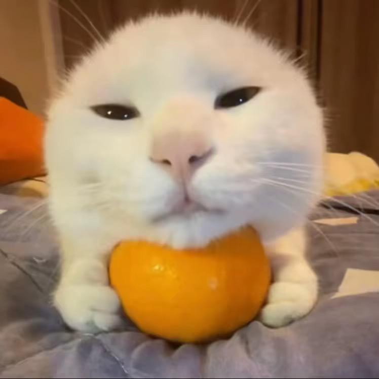 一字行（三角洲行动）