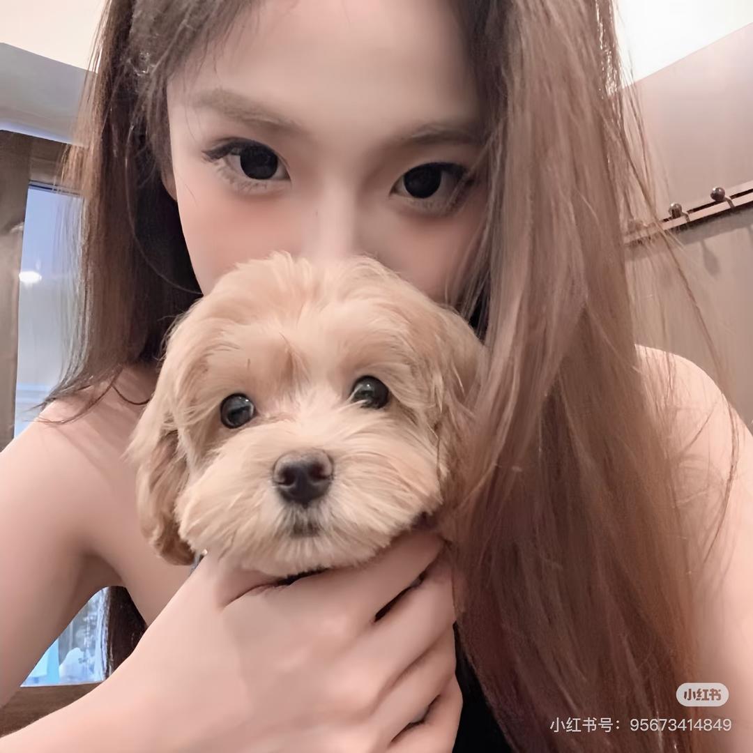 想吃麦当当
