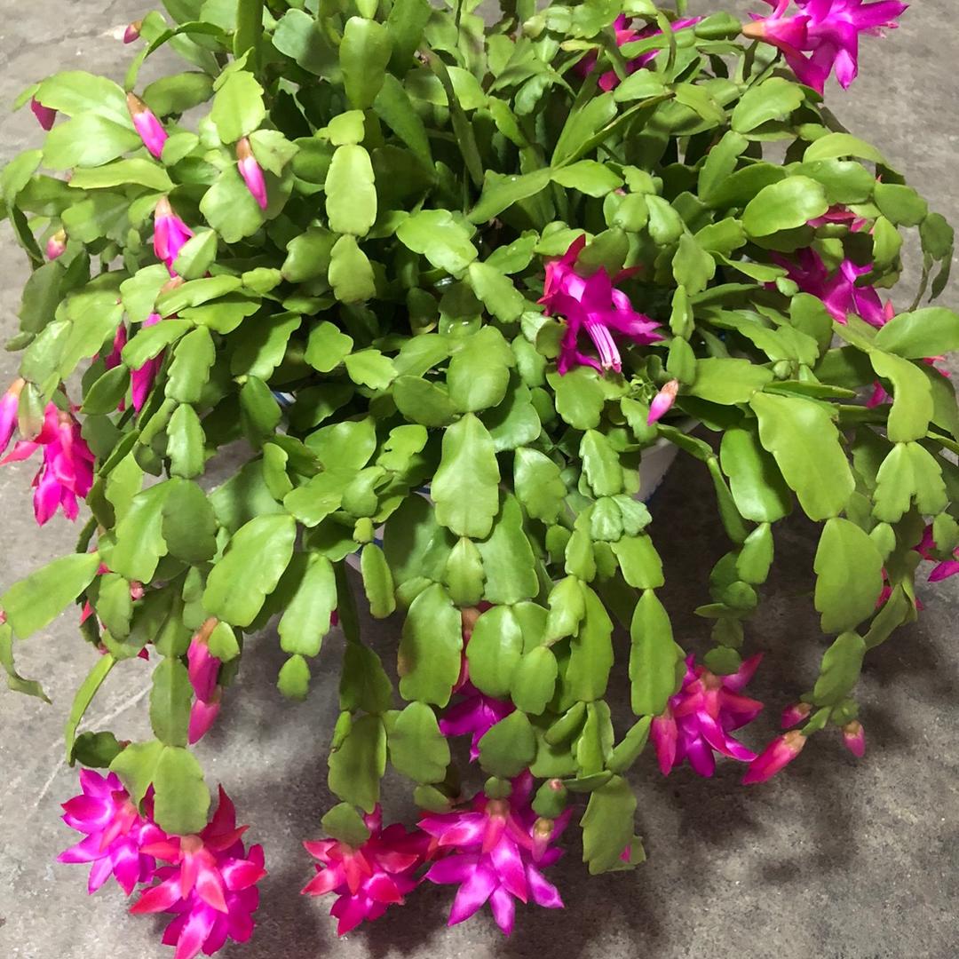 阳光总在风雨后💯⁶¹⁸