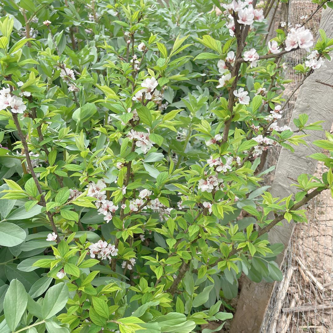 @窝窝哥哥🌸
