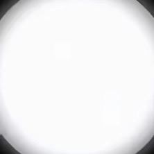 Fi