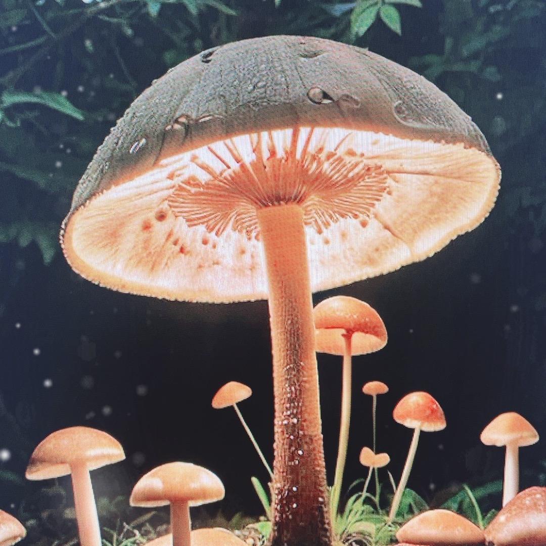 杯水时尚萌物