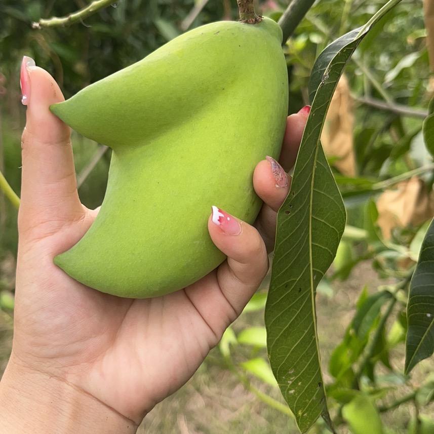 小板果蔬水产严选店