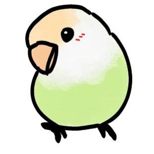 小鹦鹉涨停(尖叫版)