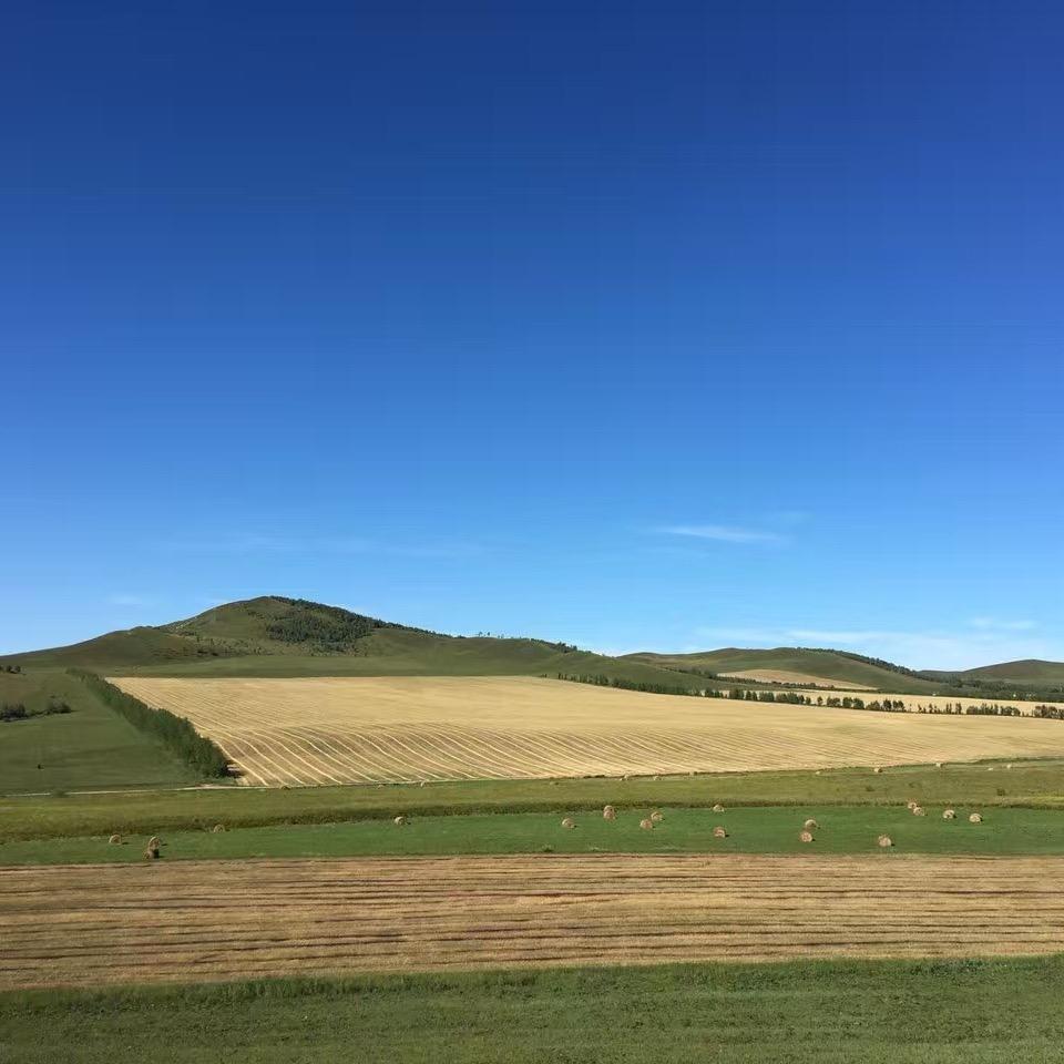 安欣