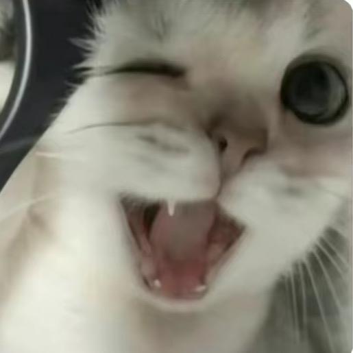 肉夹馍馍