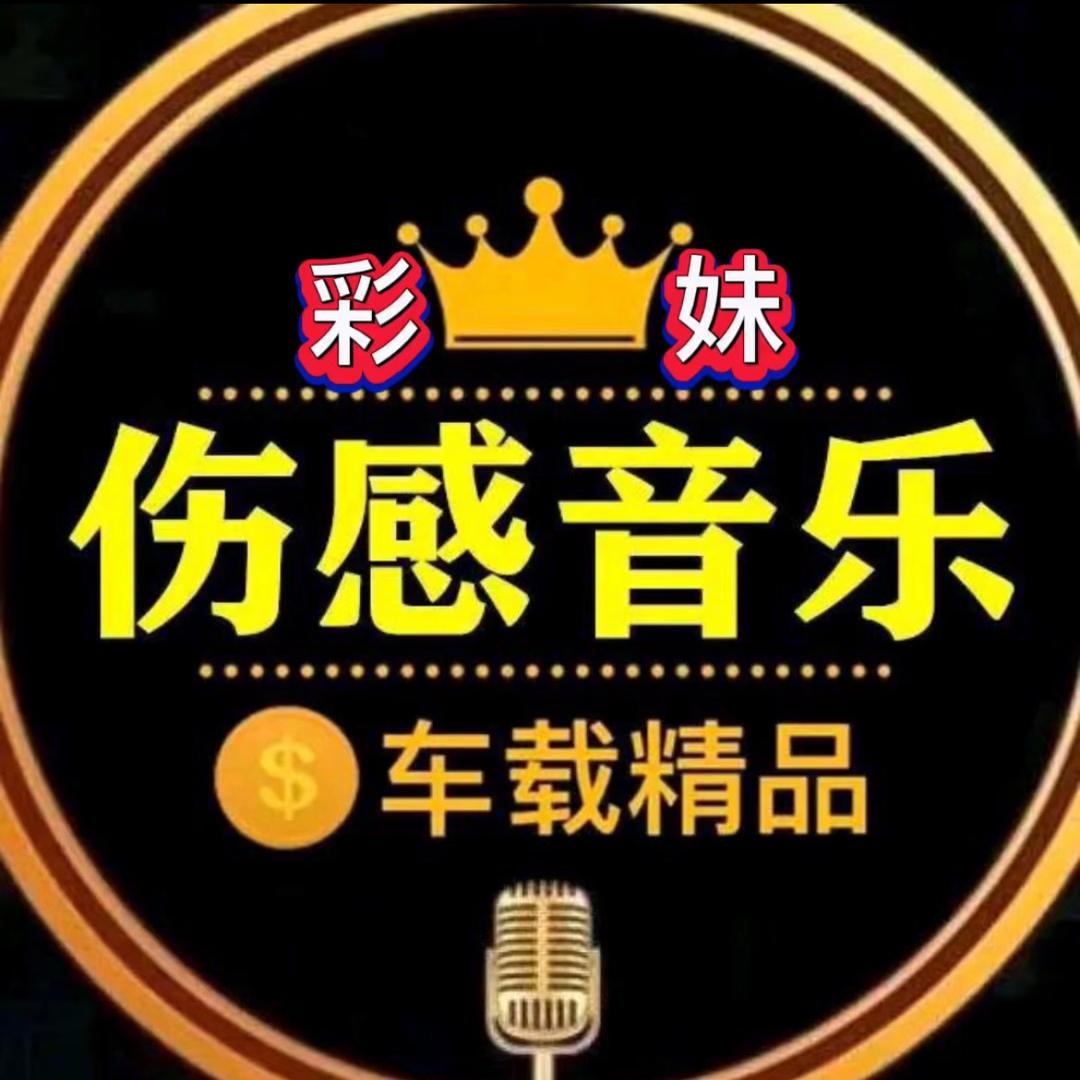 伤感音乐（🉑️购优盘）