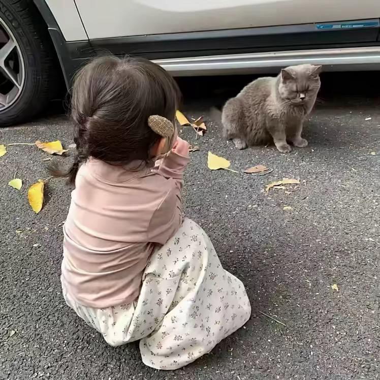 萌阿萌阿萌.