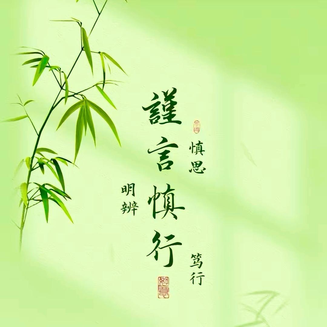 宸菲