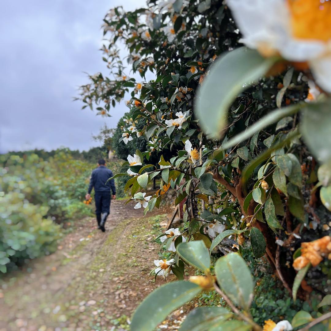 湘西小胡山货直通车