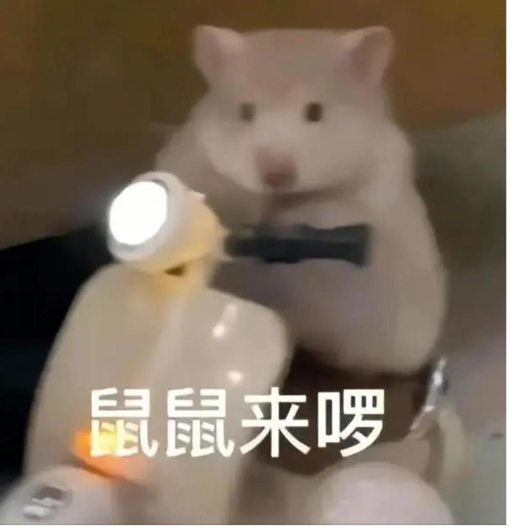 得吃的鼠鼠