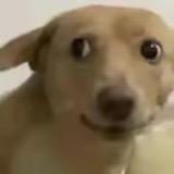 啦啦wwee🚶‍♂️