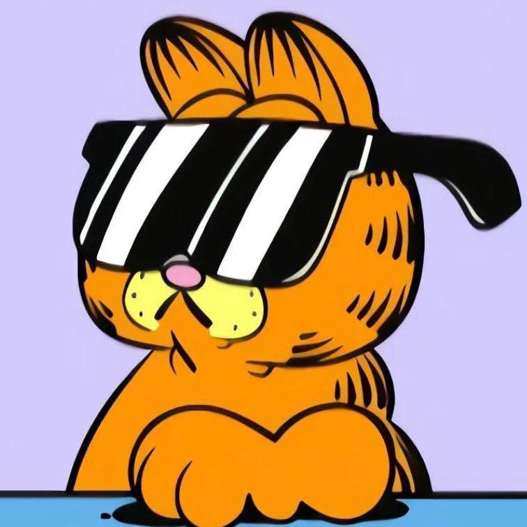 保定 大猫