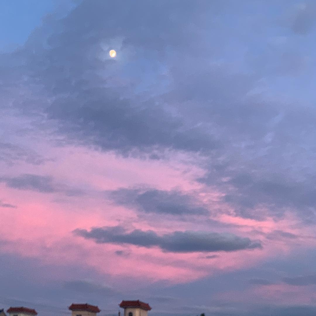 吴三岁✨