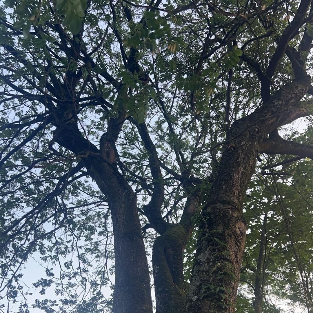 ……………….。。