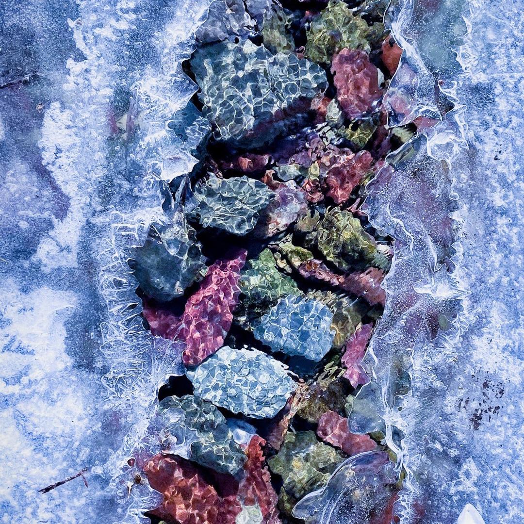 浙江湖州鱼苗批发