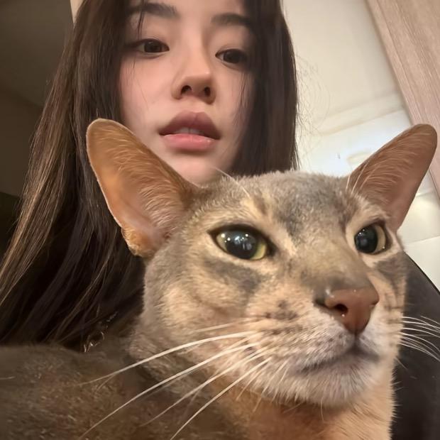 纯郁失帧