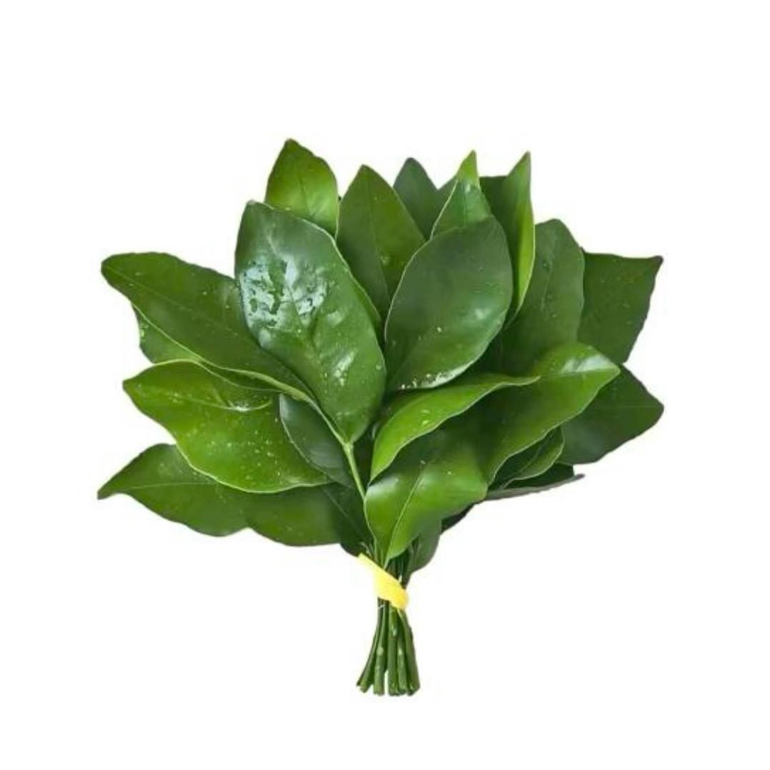 HL