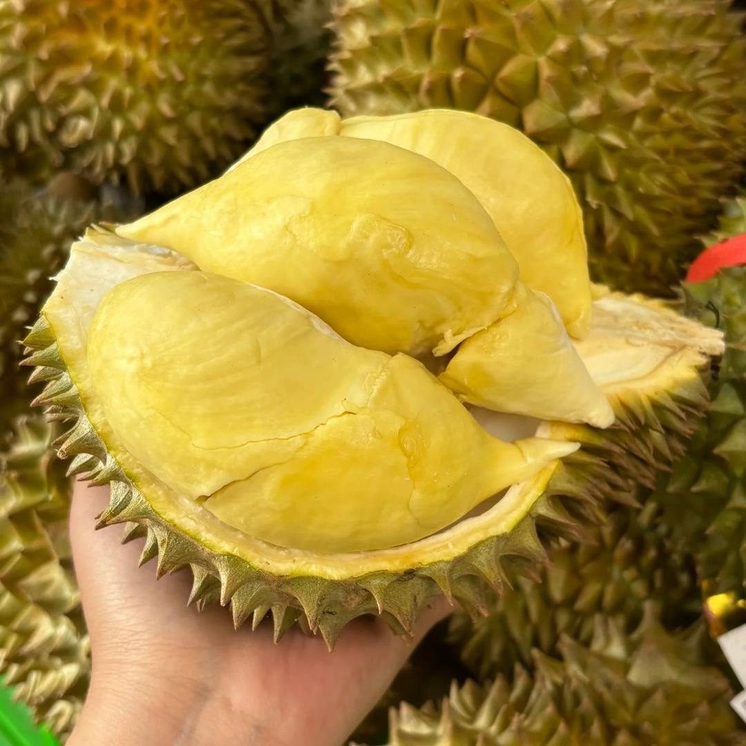 海南酿果阿胖榴莲