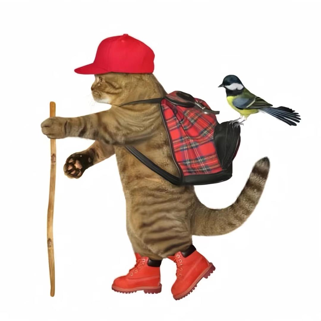 Martin丶🇵🇸🕊️