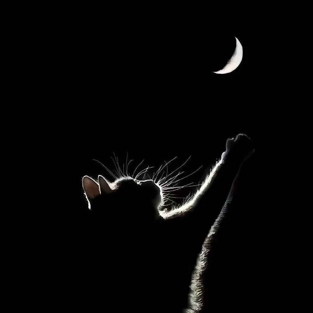 辞