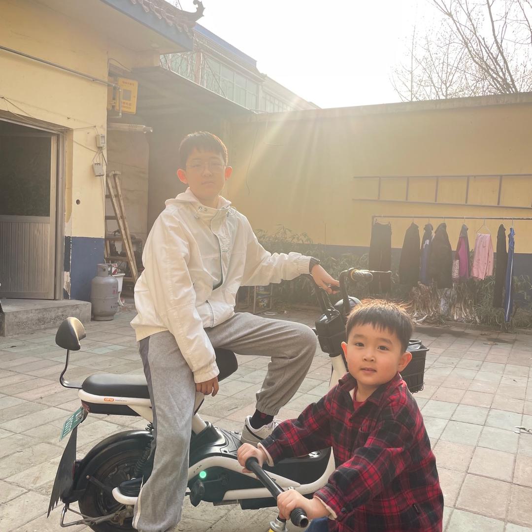 巧克力豆231701534