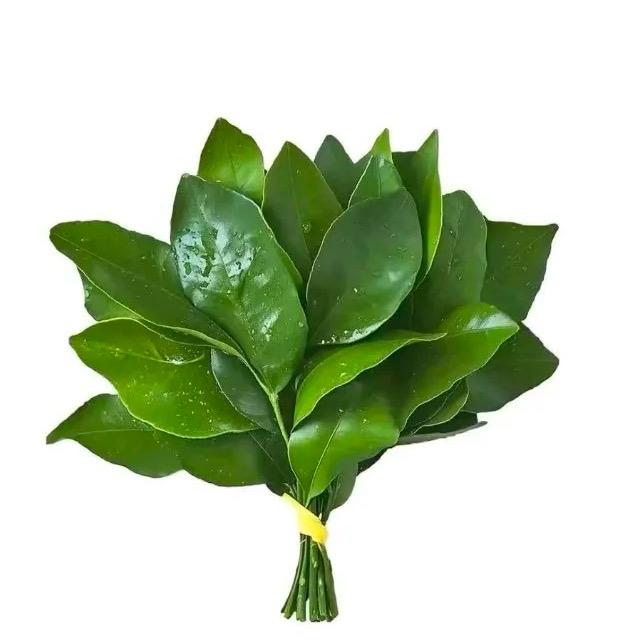 小困包 ᥫᩣ🦋