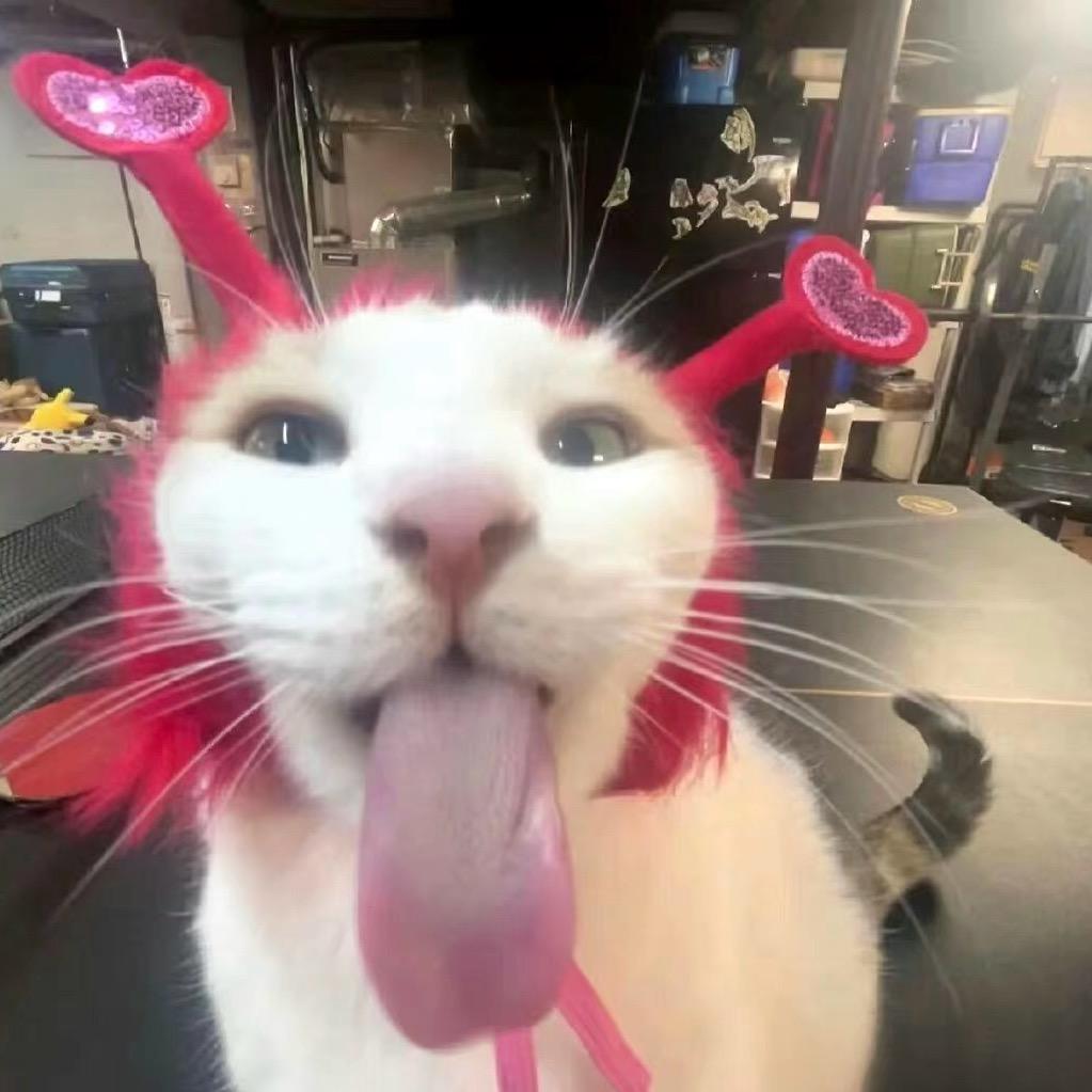 李铁柱不是猪