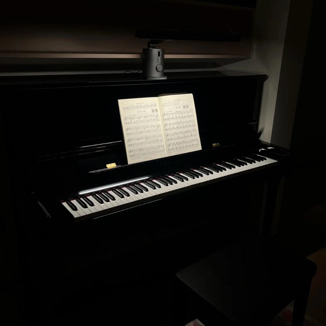 大象搞钢琴🎹（代理人）