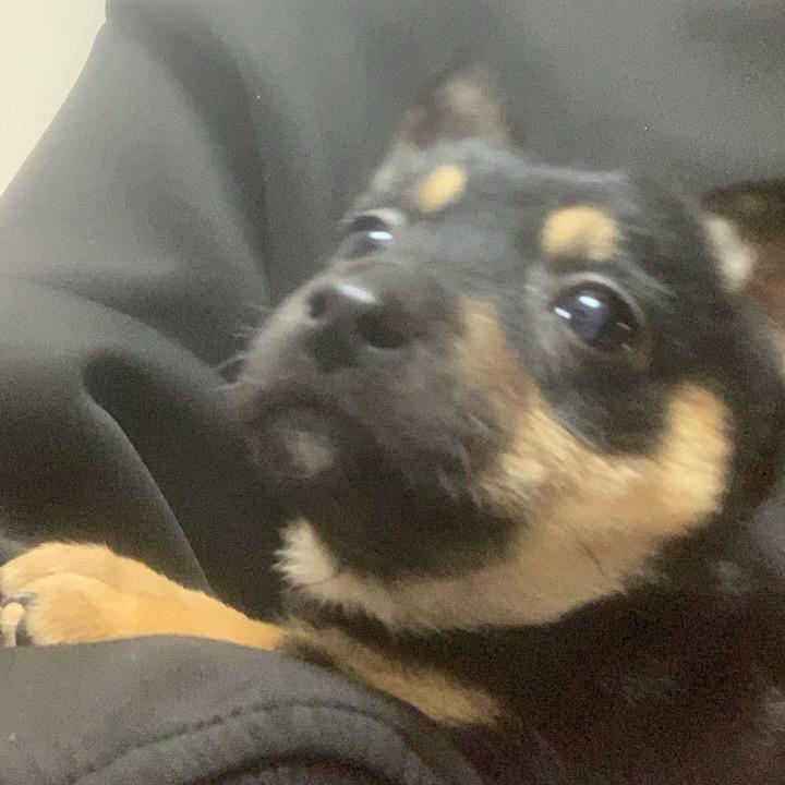 索毕浩源汇日用精品店