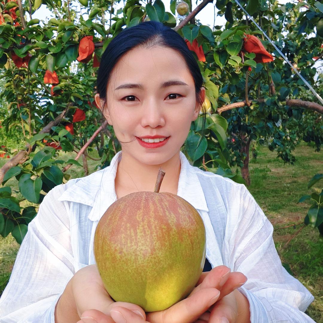 新海农业