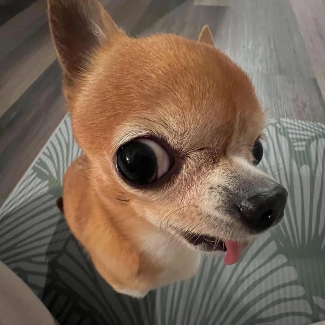 LLL