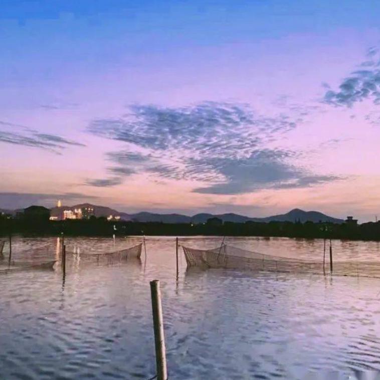 岳阳阳木伦信息咨询有限公司