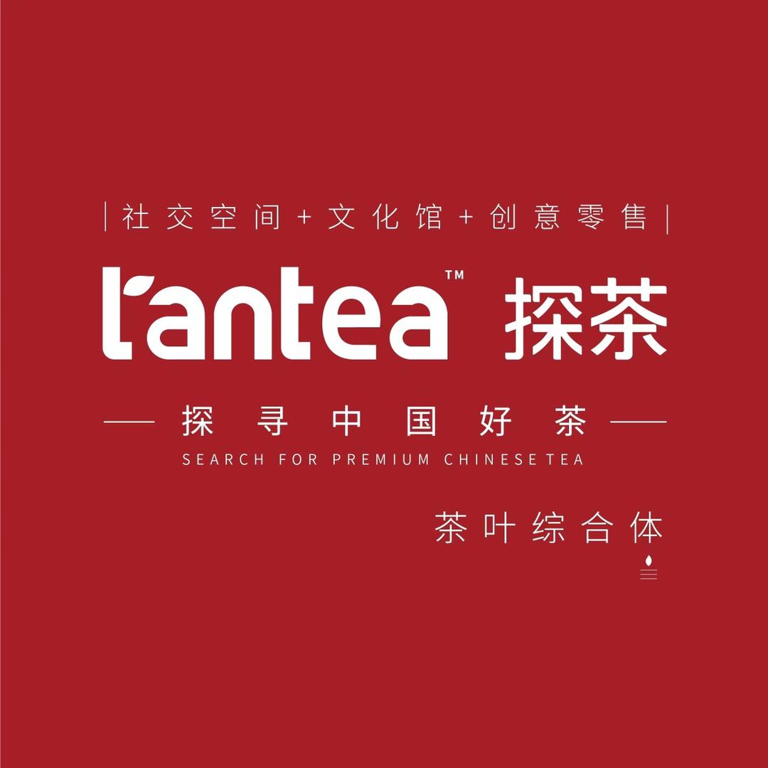 tantea探茶
