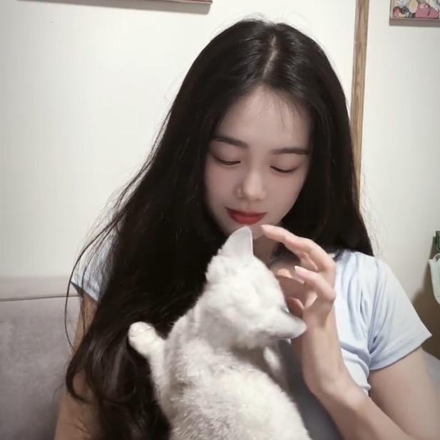是董小姐呀