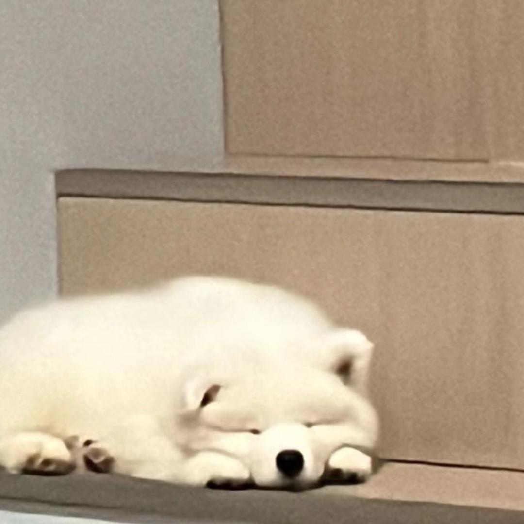 晨昏