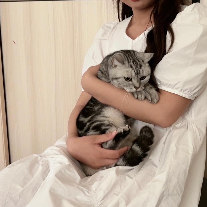 大脸猫🐱