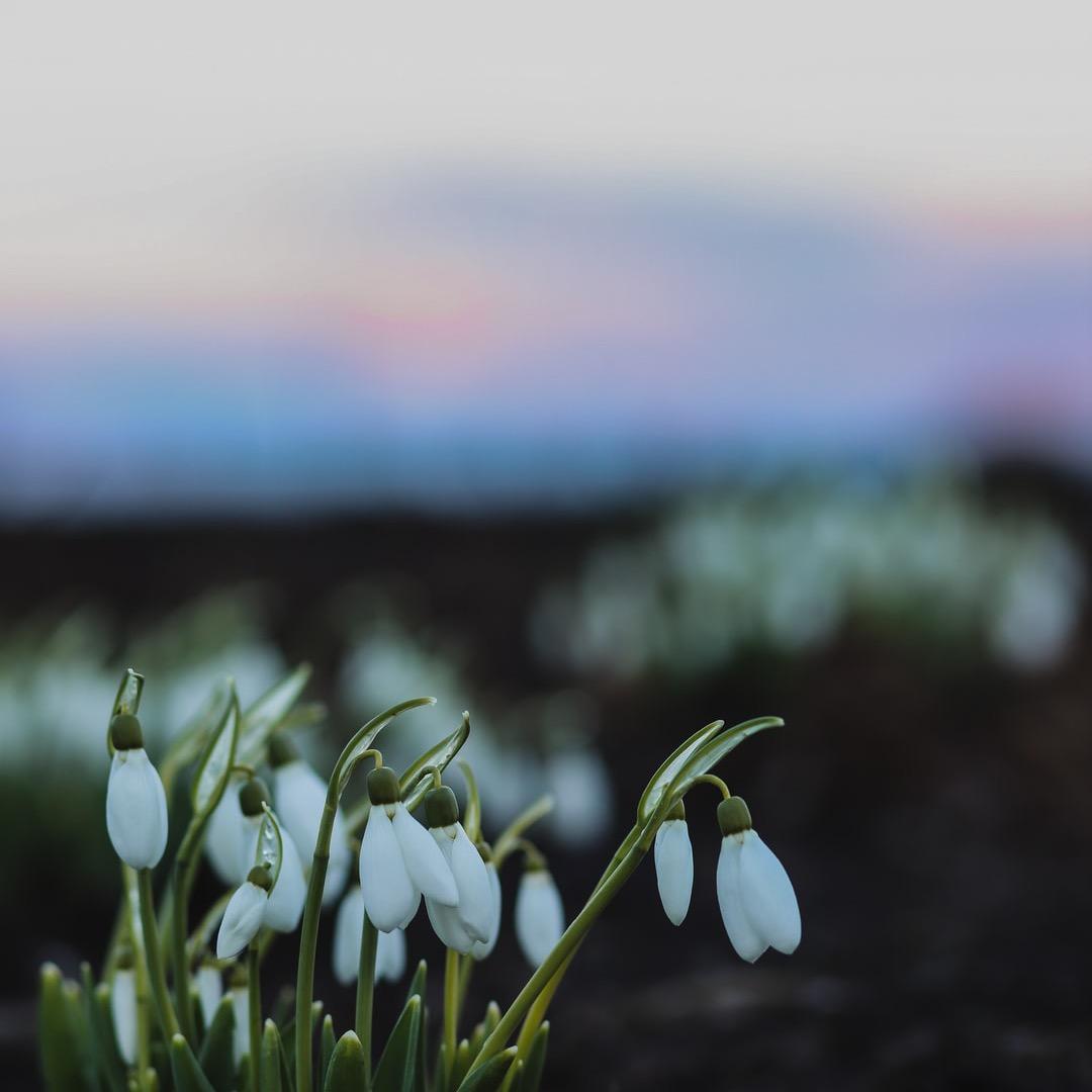 何年何地何时何月