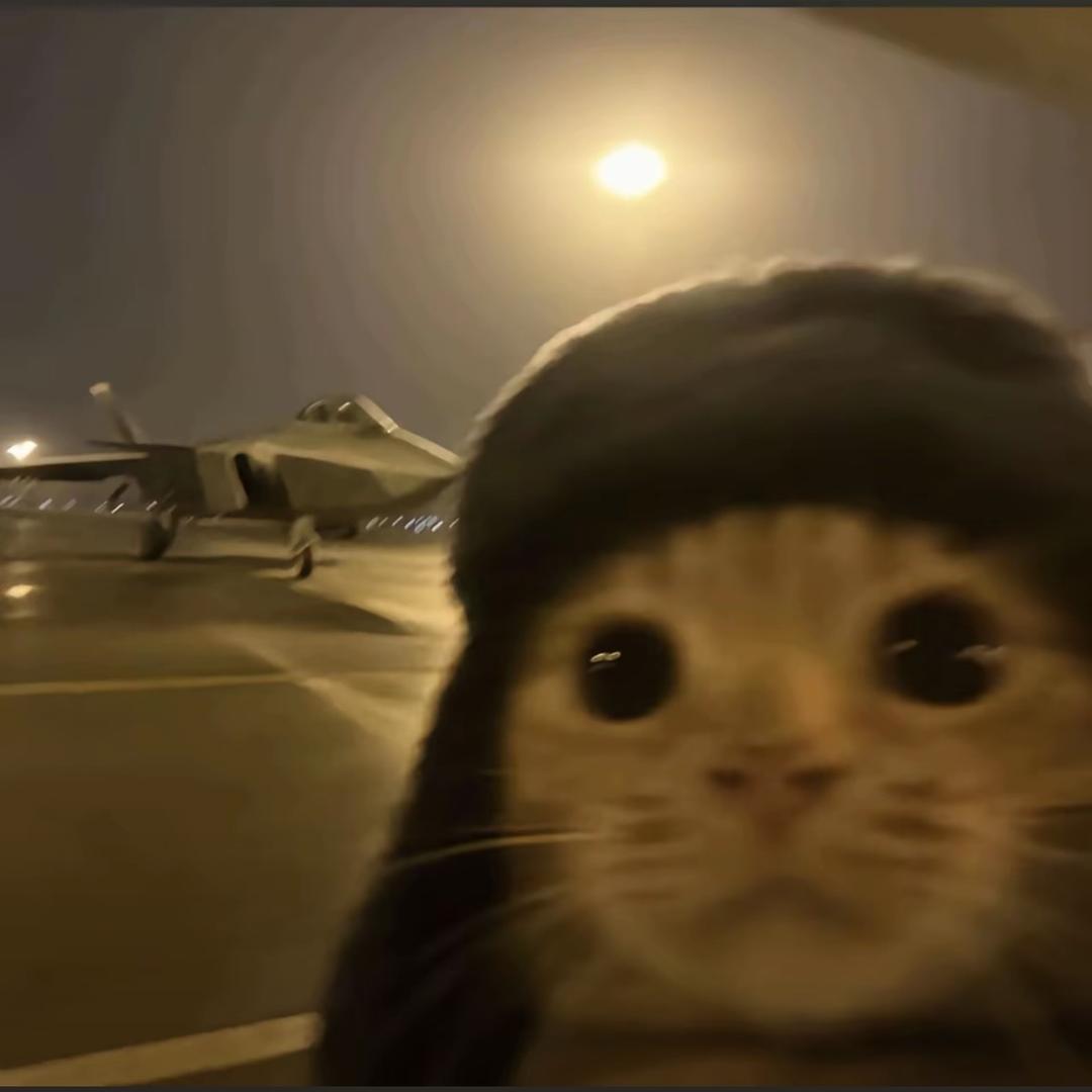 偷吃旱厕粑粑被村口大黄狂追两千米