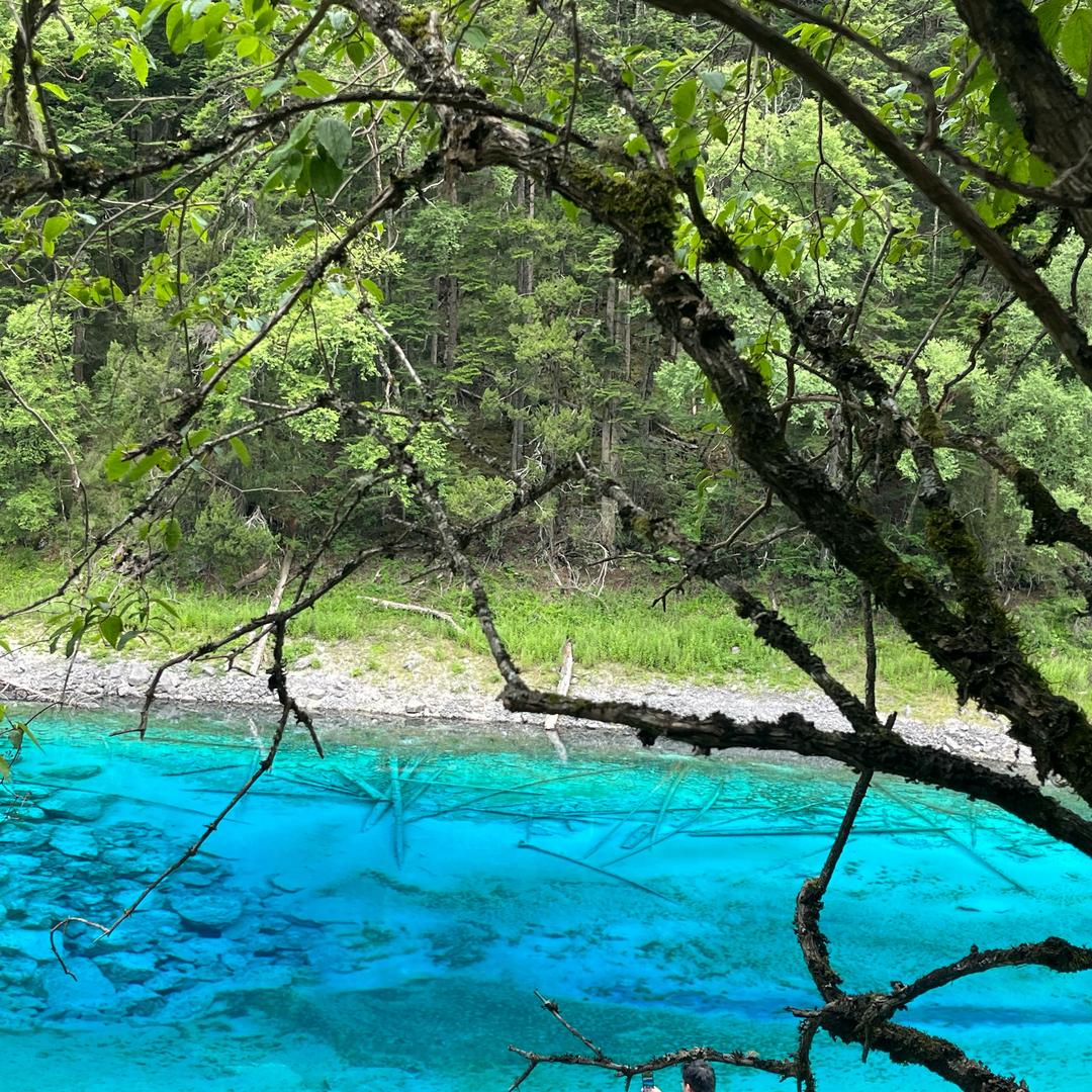 🍬一颗陈皮糖🍬