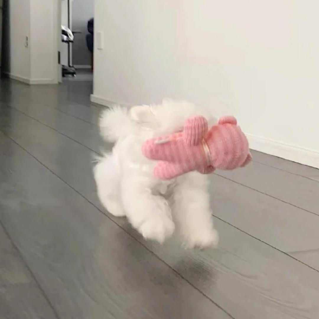 吃个橙子