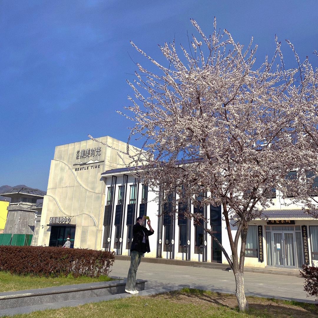 🌈杨老三