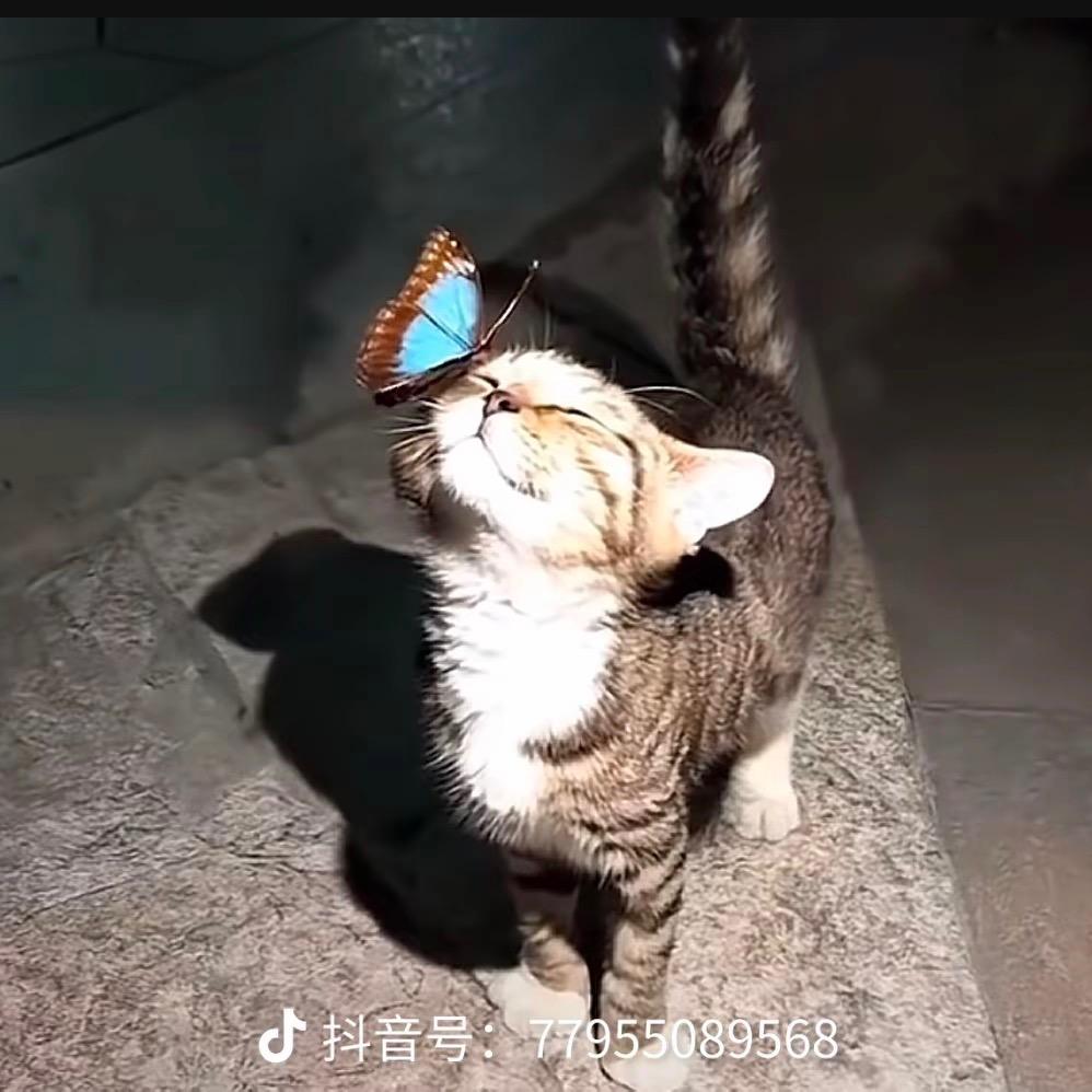 久伴
