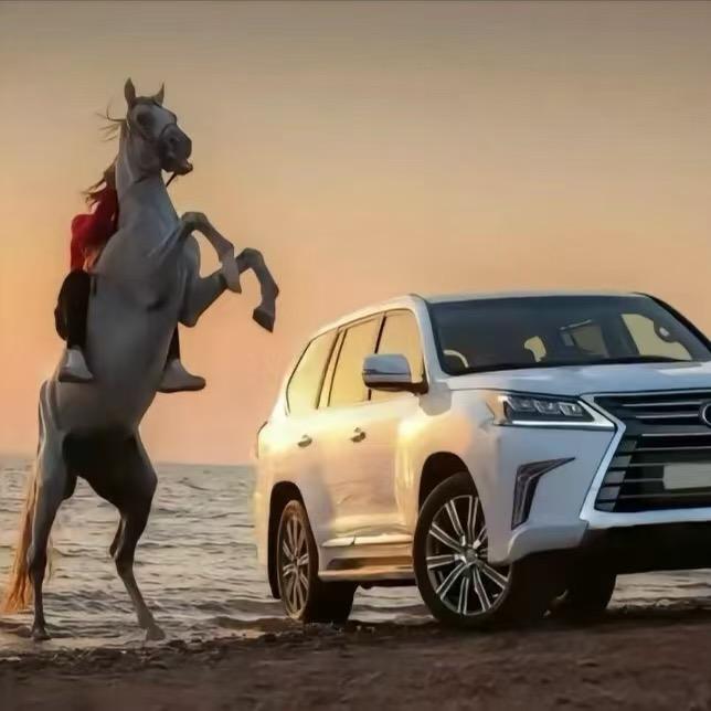 羅🏌🏿‍♂️