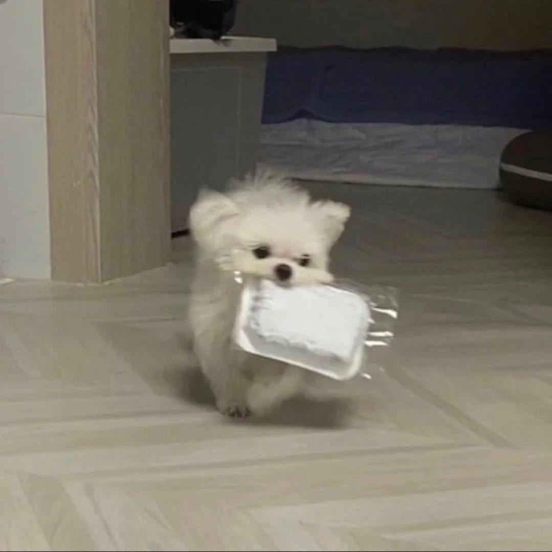 渴死的小贾