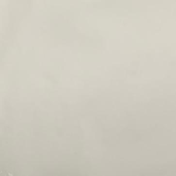 开心快乐每一天