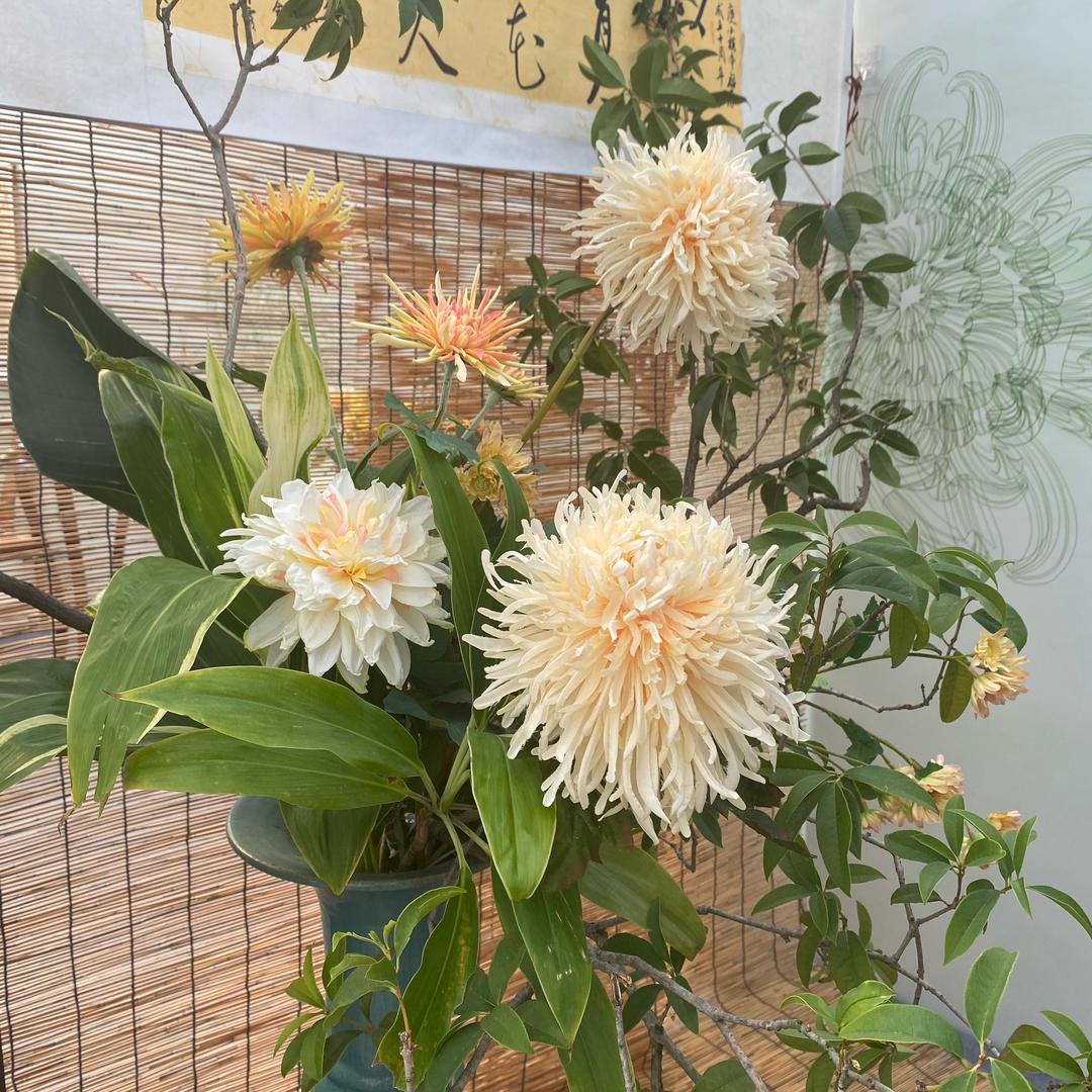 🌈甜心巧克力👑