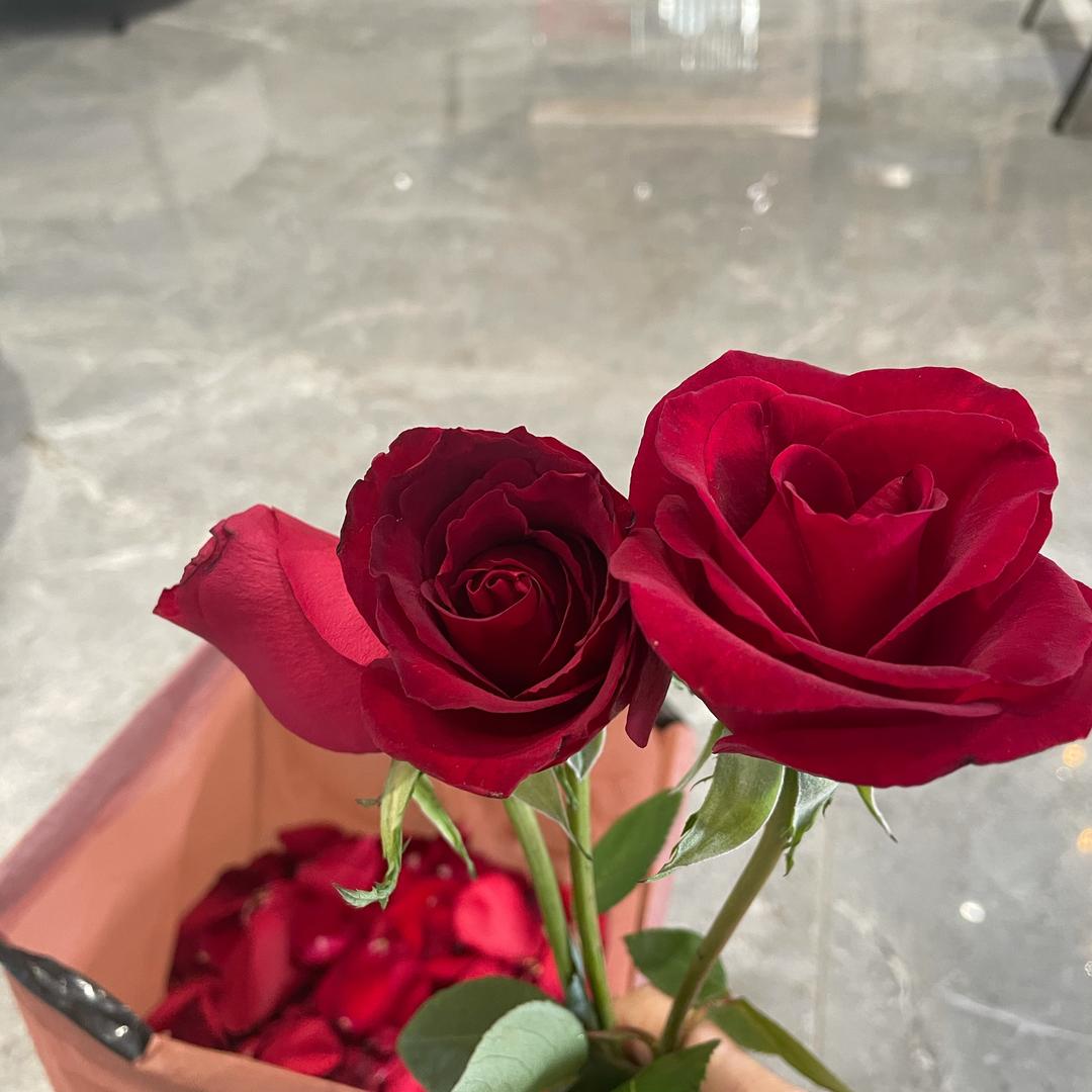 ╭═⭐国投•紫峰雅院陈新娥