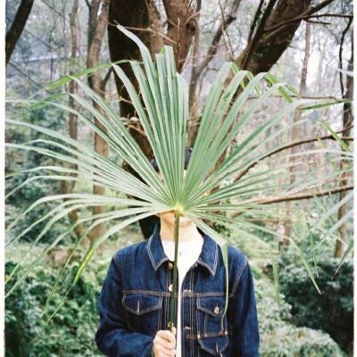绿仙人-植物生活美学