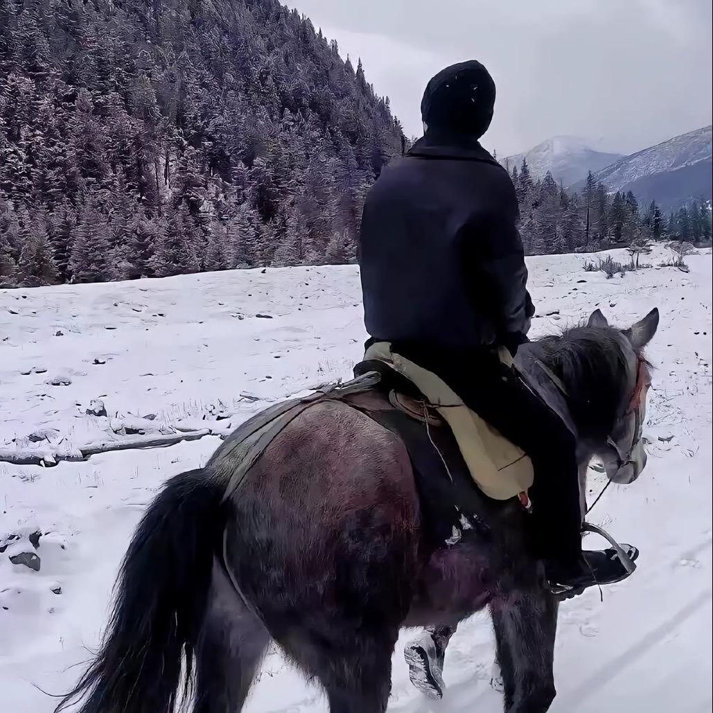 陈开心